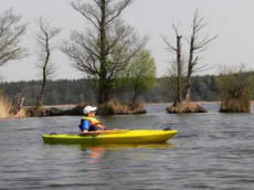 LEŚNA ośrodek wypoczynkowy mazury jeziora Iława